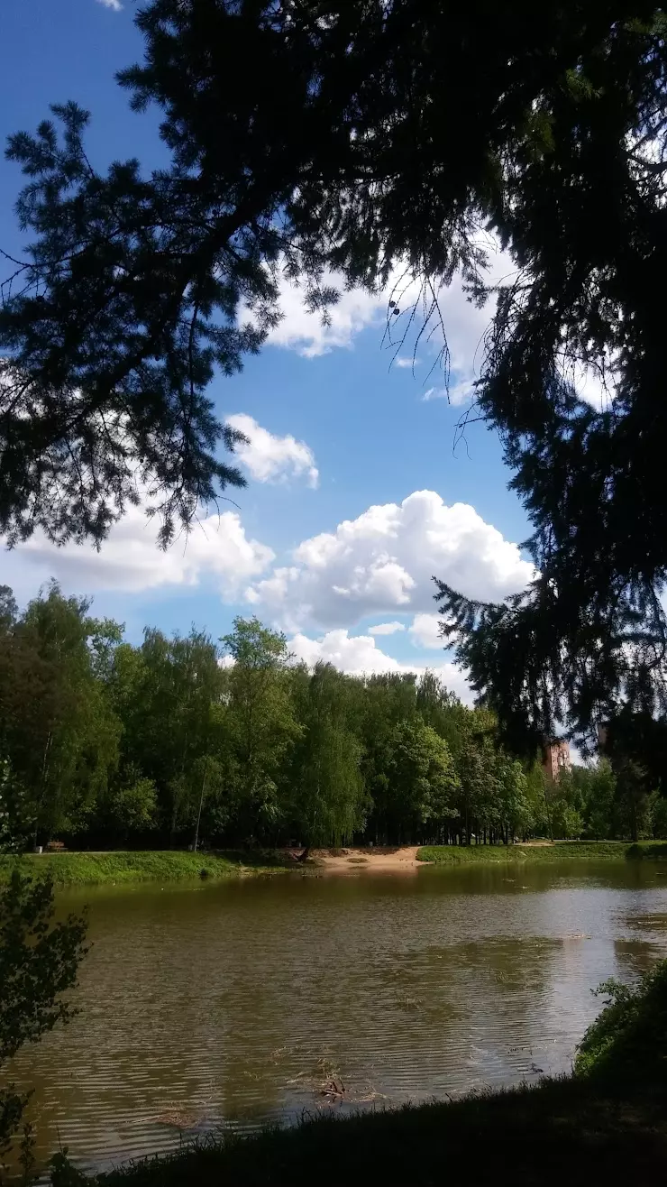 Красногорская станция по борьбе с болезнями животных в Красногорске, ул.  Димитрова, д.11 - фото, отзывы 2024, рейтинг, телефон и адрес