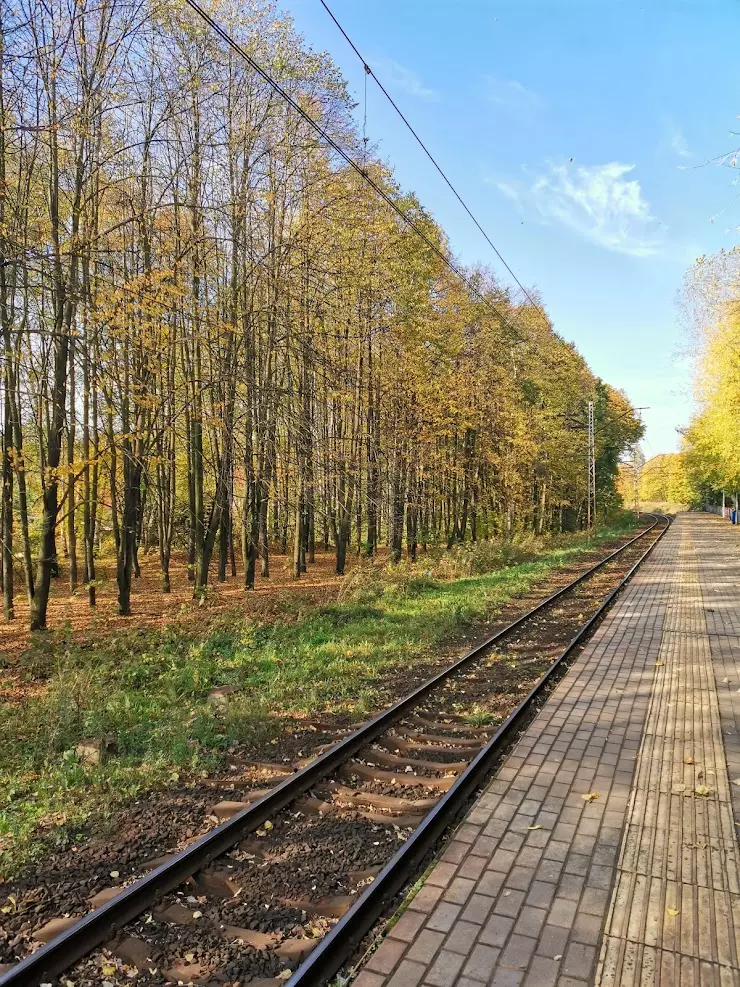 Гостиницы рядом с Фабрика 1 мая, Королев