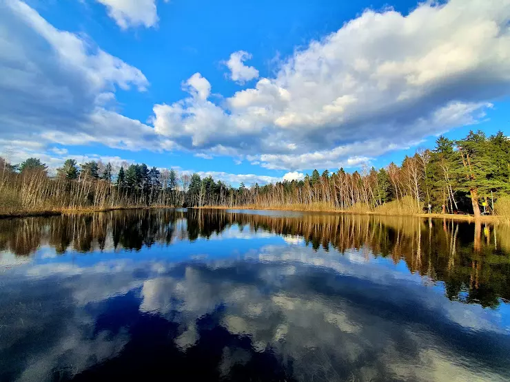 Озеро Черное в Зеленограде - фото, отзывы 2023, рейтинг, телефон и адрес