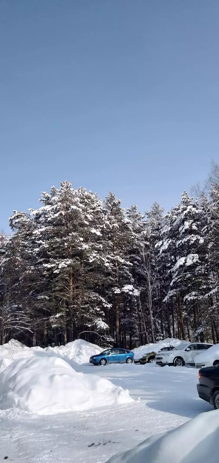 Чудолесье, ДОЦ им. В. Дубинина в Бердске, Речкуновская Зона Отдыха, 15 -  фото, отзывы 2024, рейтинг, телефон и адрес