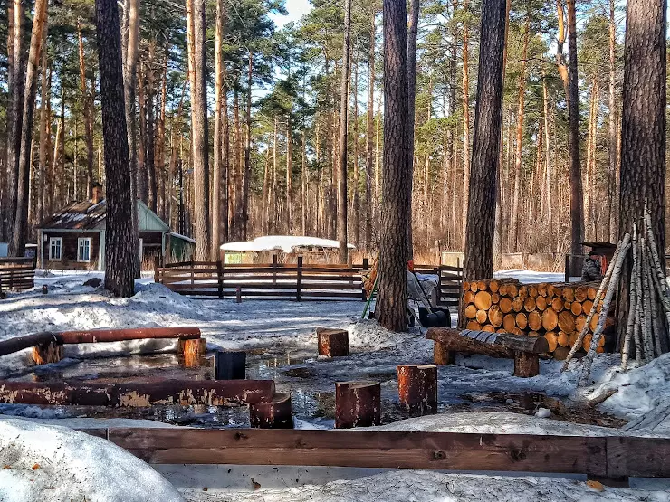 Экопарк чкаловские дачи новосибирск