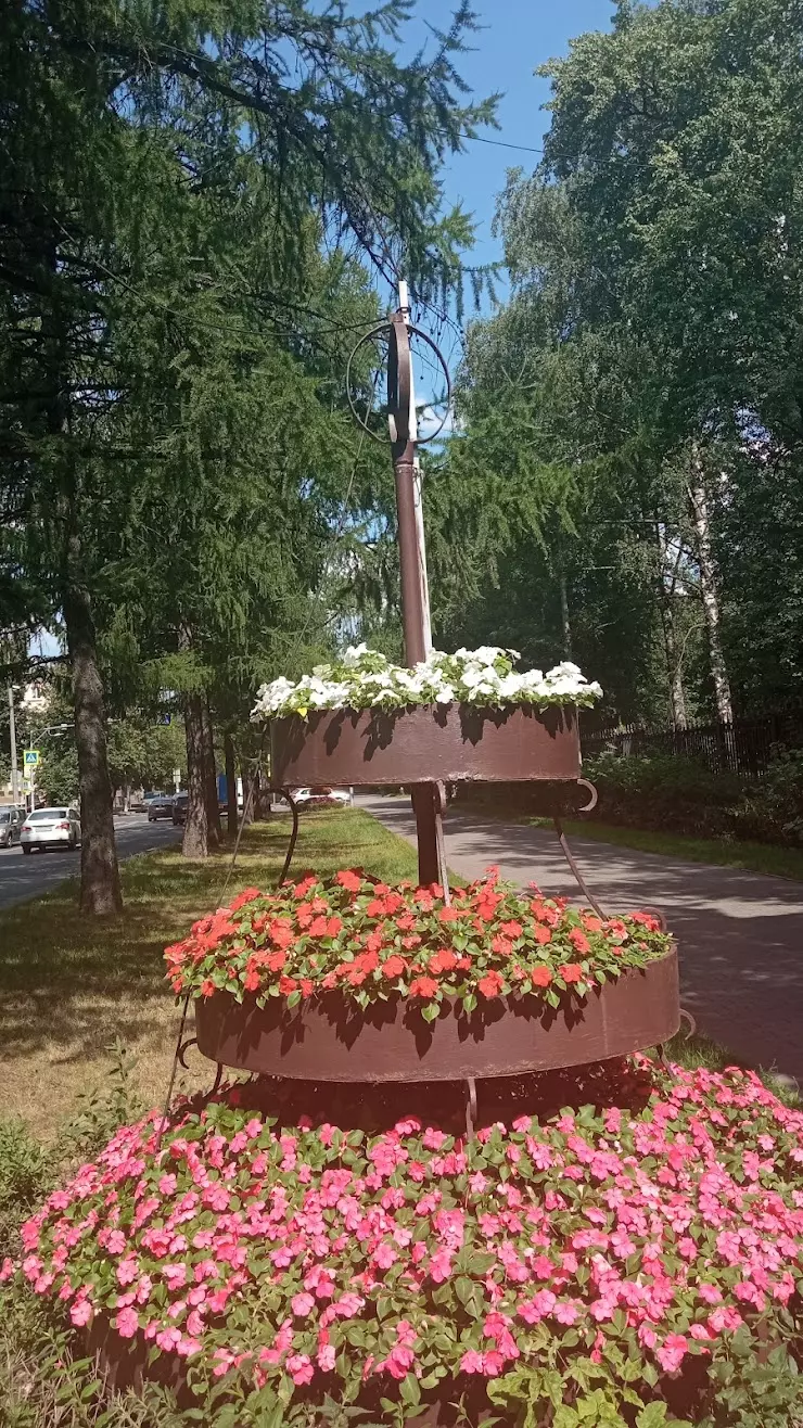 Центральный вход в парк города Мытищи в Мытищах, Новомытищинский пр., 28/2  - фото, отзывы 2024, рейтинг, телефон и адрес