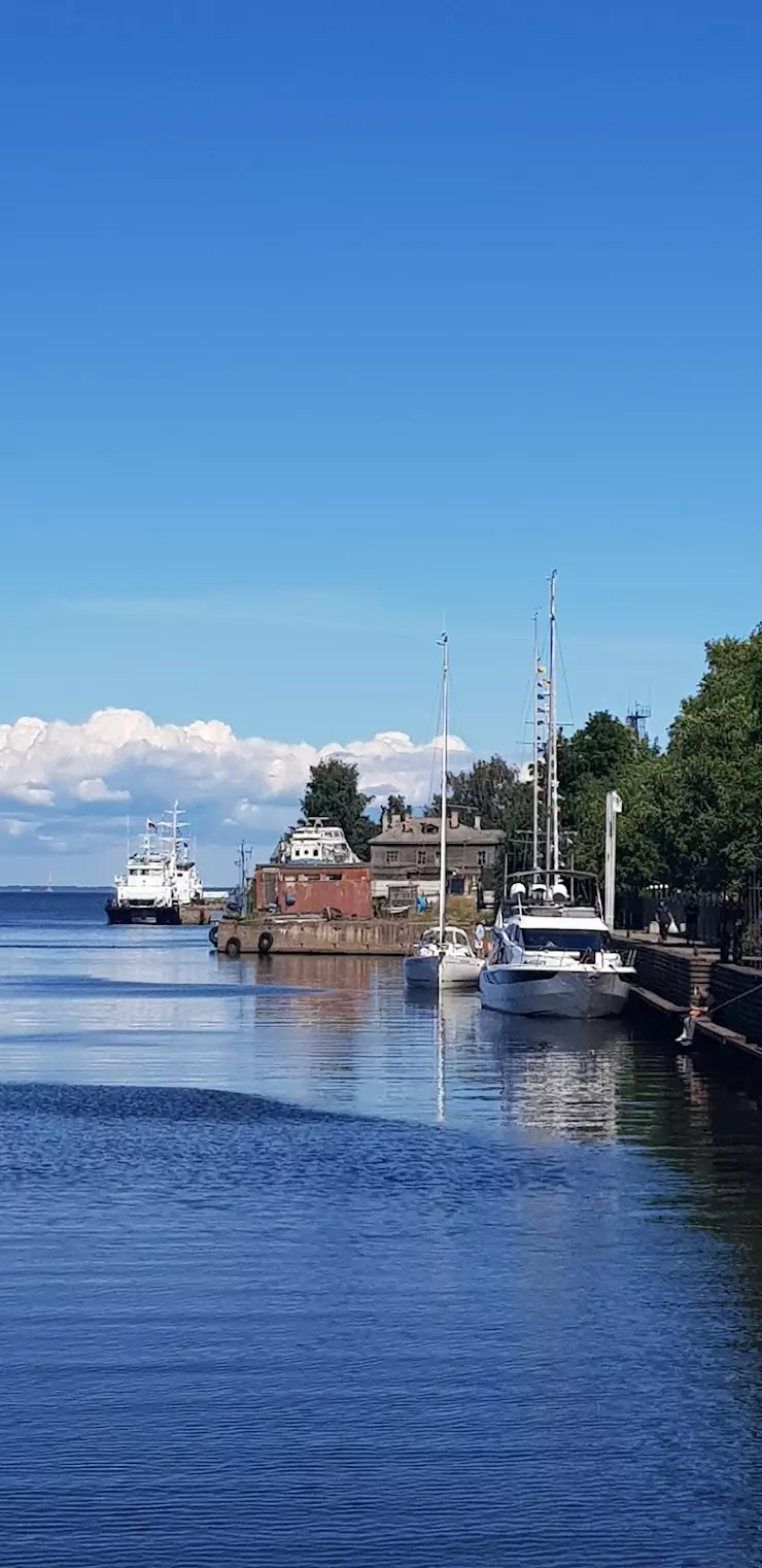 Ораниенбаумский морской фестиваль в Ломоносове, д., наб. Сидоровского  Канала, 3 - фото, отзывы 2024, рейтинг, телефон и адрес