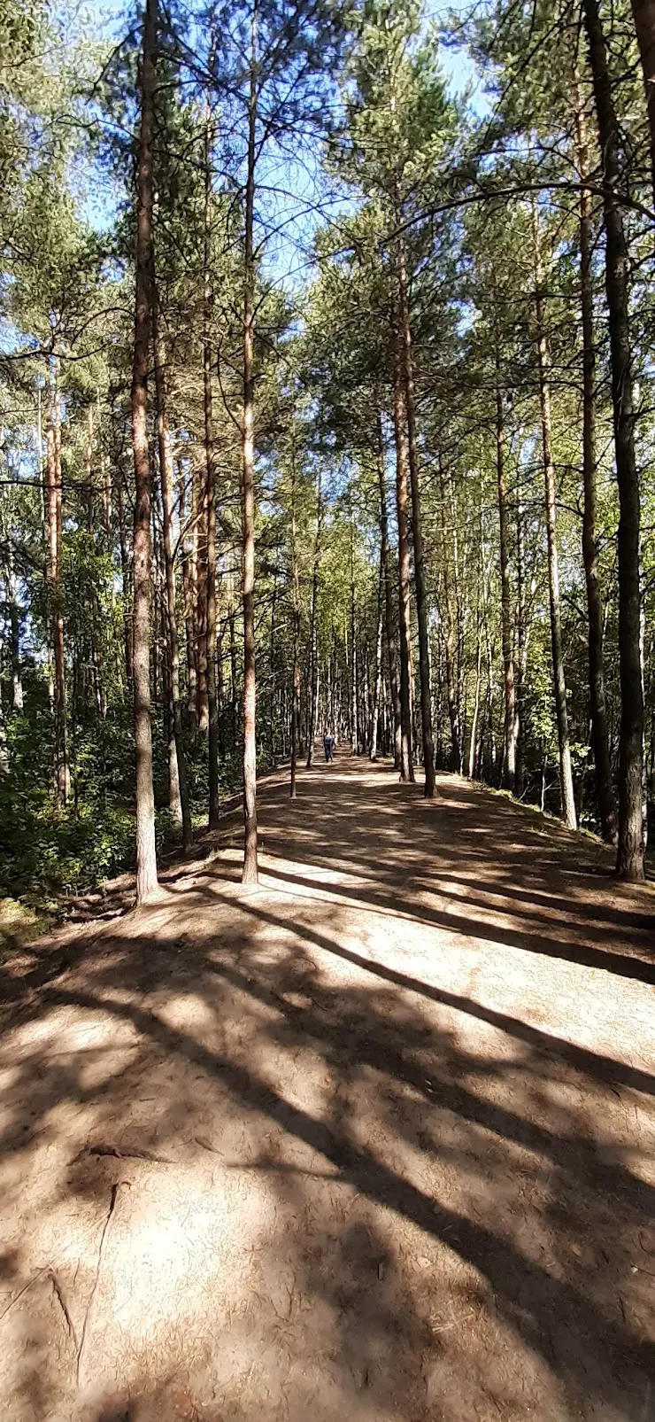 Ковалевский Лесопарк в Всеволожске - фото, отзывы 2024, рейтинг, телефон и  адрес