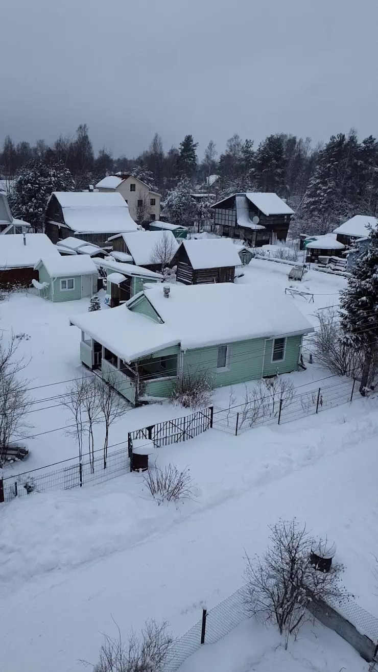 СНТ Светлана-2 в Песочном, ул. Кирова - фото, отзывы 2024, рейтинг, телефон  и адрес