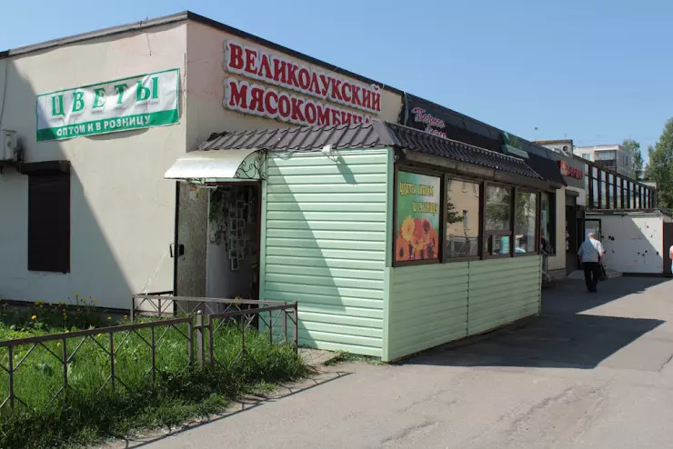 Поликлиника ломоносов александровская. Улица Александровская 22/17 Ломоносов. Ул Профсоюзная Ломоносов.