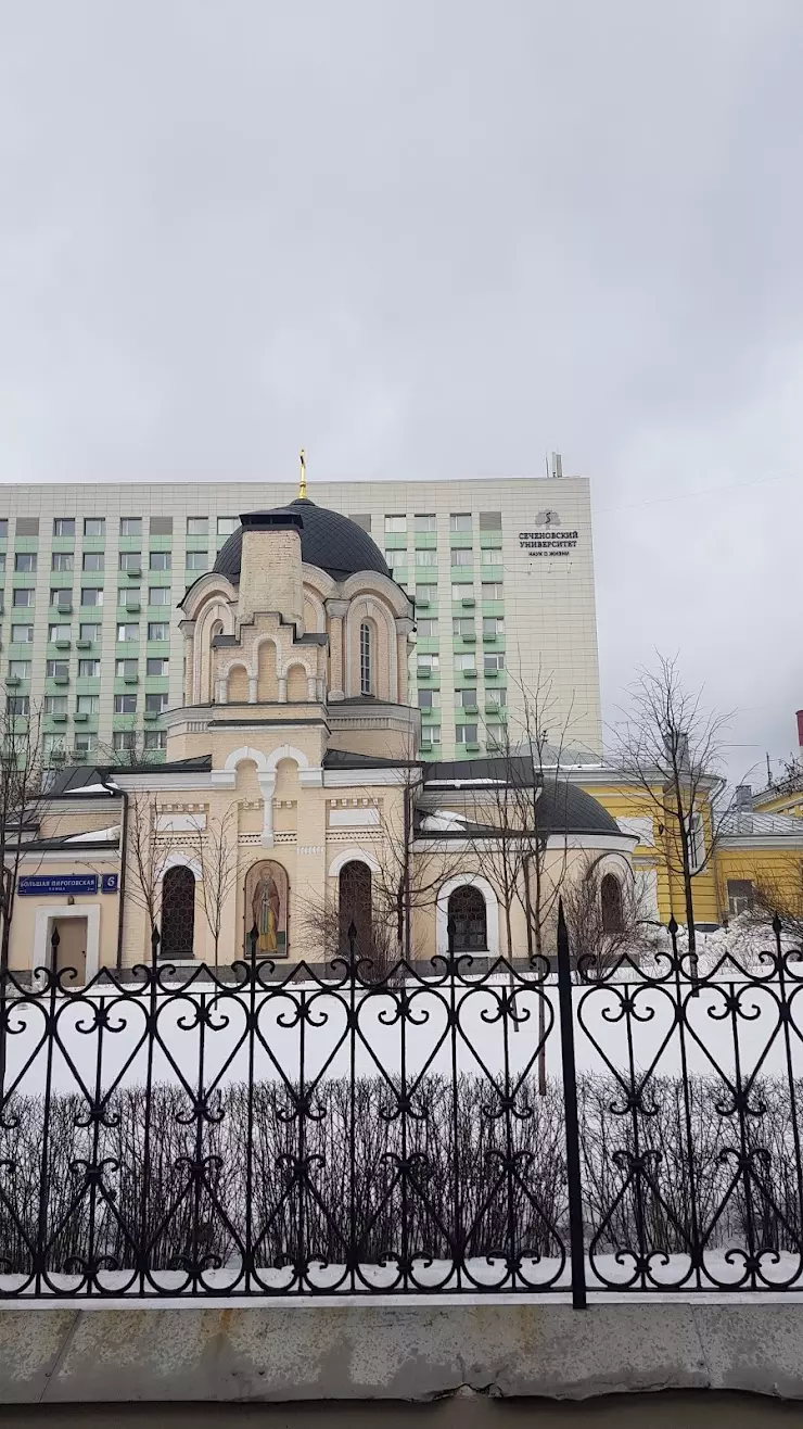 Первый Московский Государственный Медицинский Университет в Москве, Большая  Пироговская ул., 2, стр. 4 - фото, отзывы 2024, рейтинг, телефон и адрес