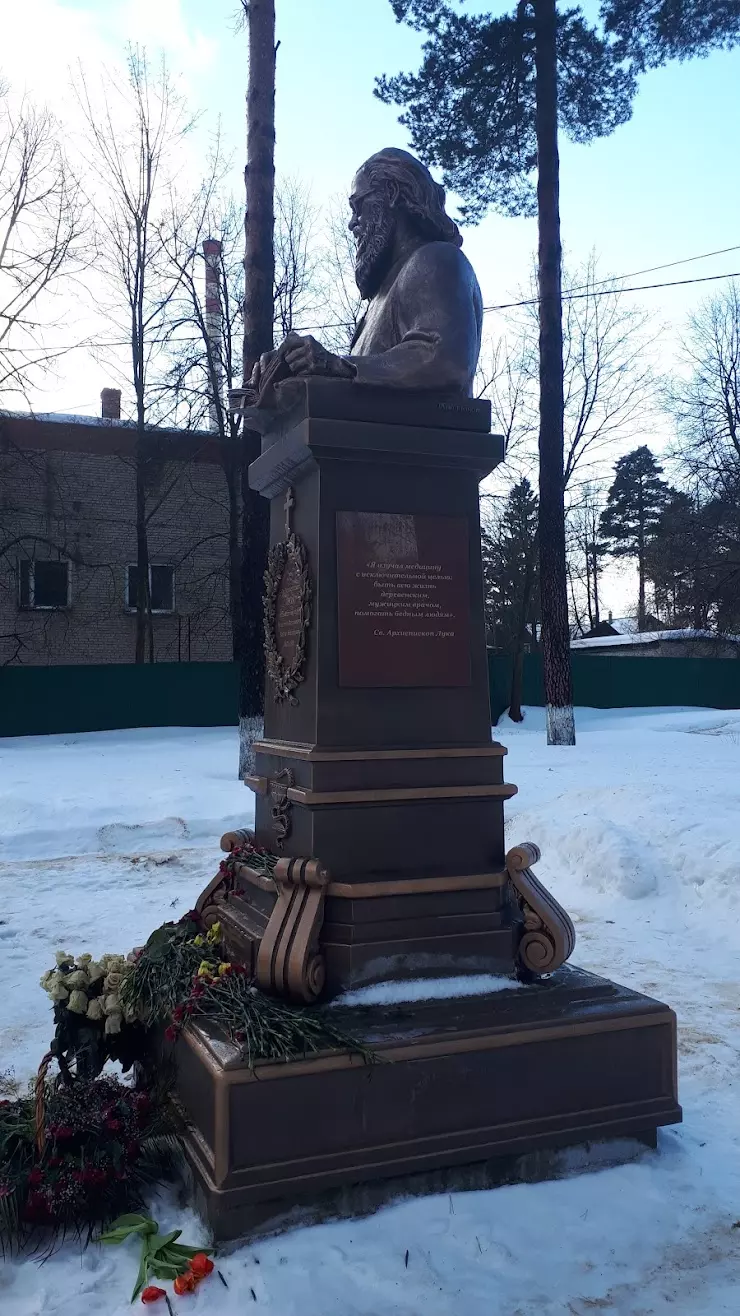 Пушкинская районная больница им. проф. Розанова В. Н. в Пушкино,  Авиационная ул., 35 - фото, отзывы 2024, рейтинг, телефон и адрес