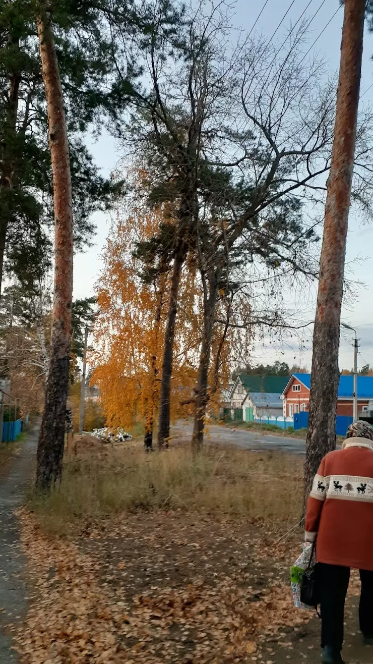 Звениговский городской молочный комбинат в Звенигово, ул.Горького, 1 -  фото, отзывы 2024, рейтинг, телефон и адрес