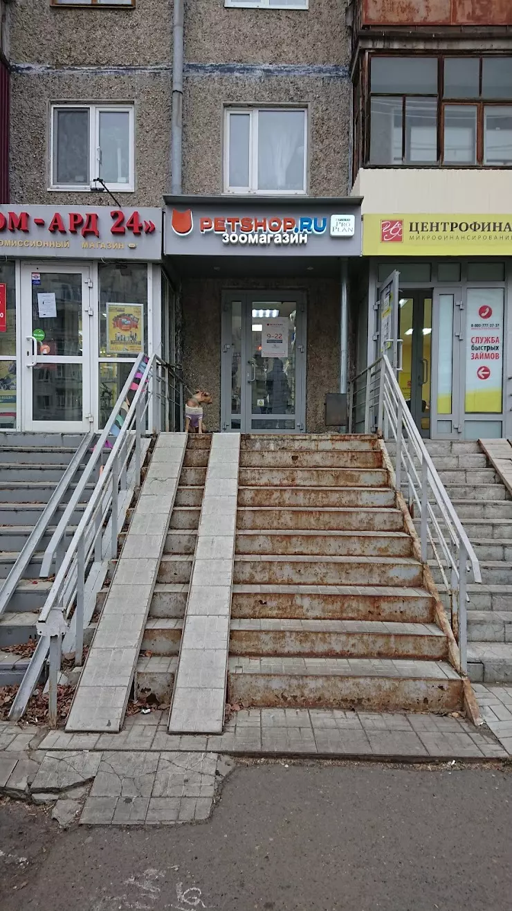 Petshop.ru в Казани, ул. Аделя Кутуя, 7 - фото, отзывы 2024, рейтинг,  телефон и адрес