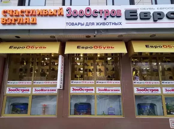 Продукция воронежа. ЗОООСТРОВ магазин аквариумных товаров Воронеж. Индийский магазин Воронеж на Плехановской. ЗОООСТРОВ Воронеж. Индийский магазин в Воронеже.