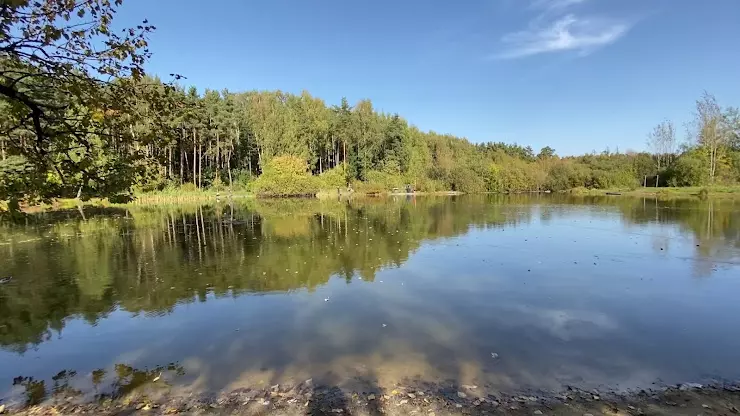 Тарелочкин пруд балашиха. Озёрный лесопарк Балашиха. Апшеронск озеро.