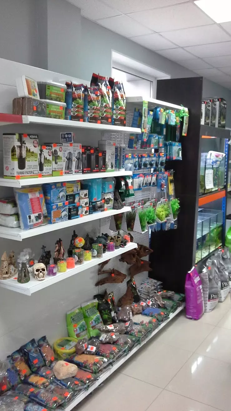 pet shop, aquarium, fish, animal feed в Домодедово, ул. Текстильщиков, 1Б -  фото, отзывы 2024, рейтинг, телефон и адрес