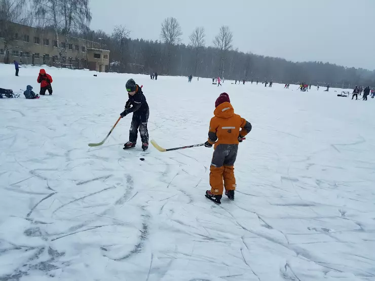 Каток в пушкино 2024