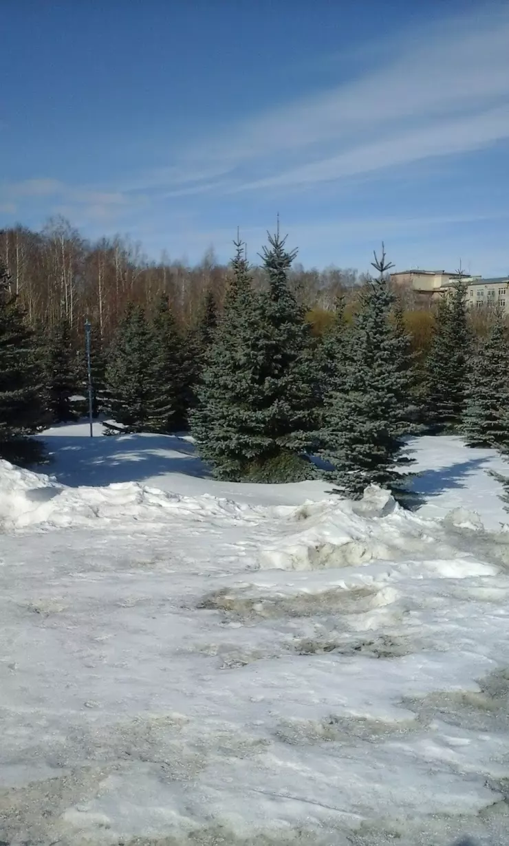 Городская больница 1 г.Еманжелинска им. Виртака в Еманжелинске, ул. Титова,  1 - фото, отзывы 2024, рейтинг, телефон и адрес