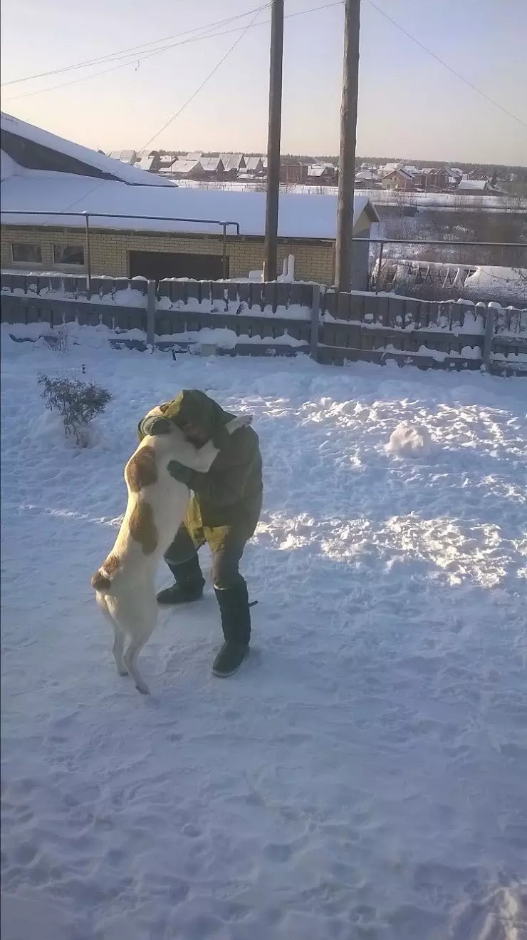 ГБУ СО Самарское ветеринарное объединение 