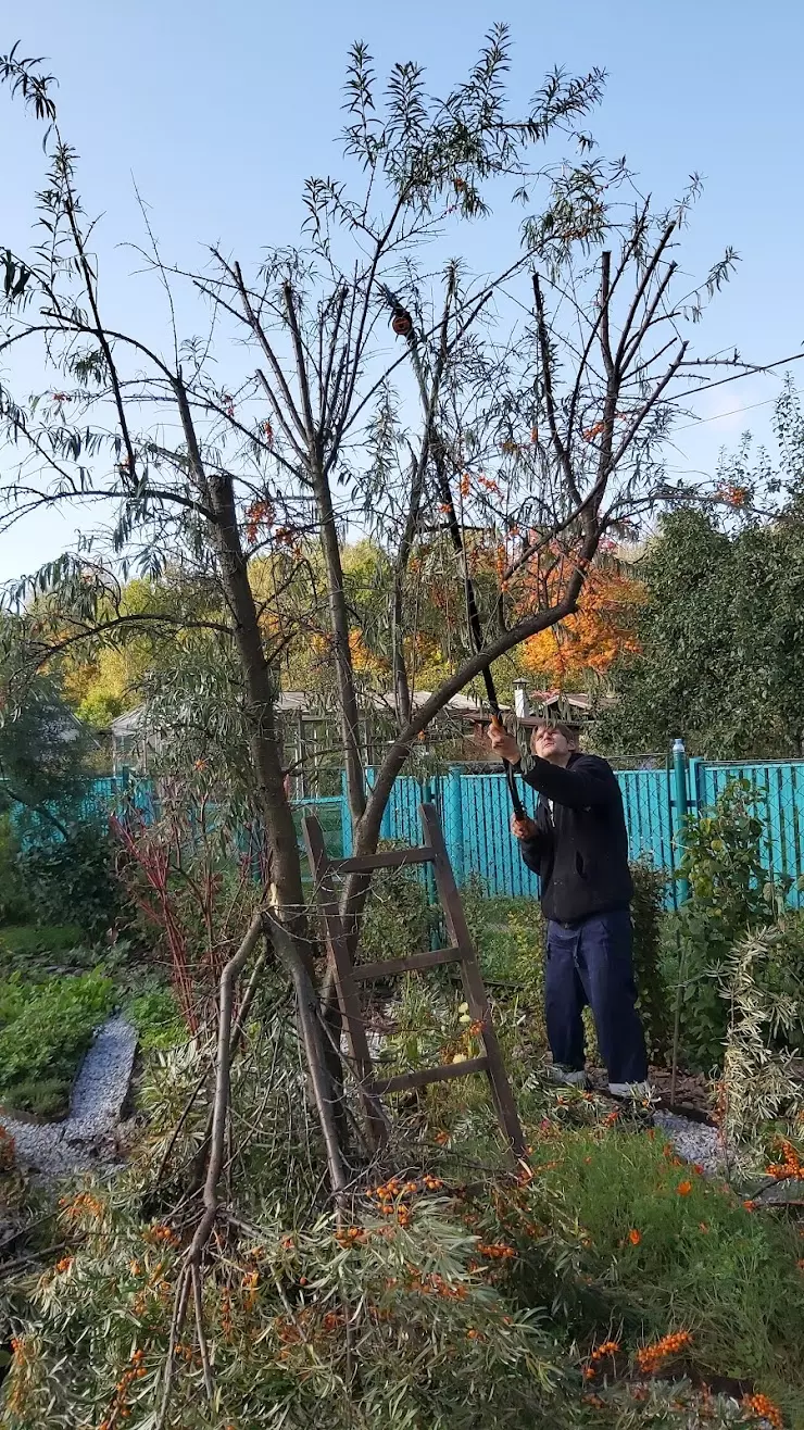 ЛБ Мой сад в Нижнем Новгороде, ул. Береговая, 76б сп, Береговая ул., 76б -  фото, отзывы 2024, рейтинг, телефон и адрес