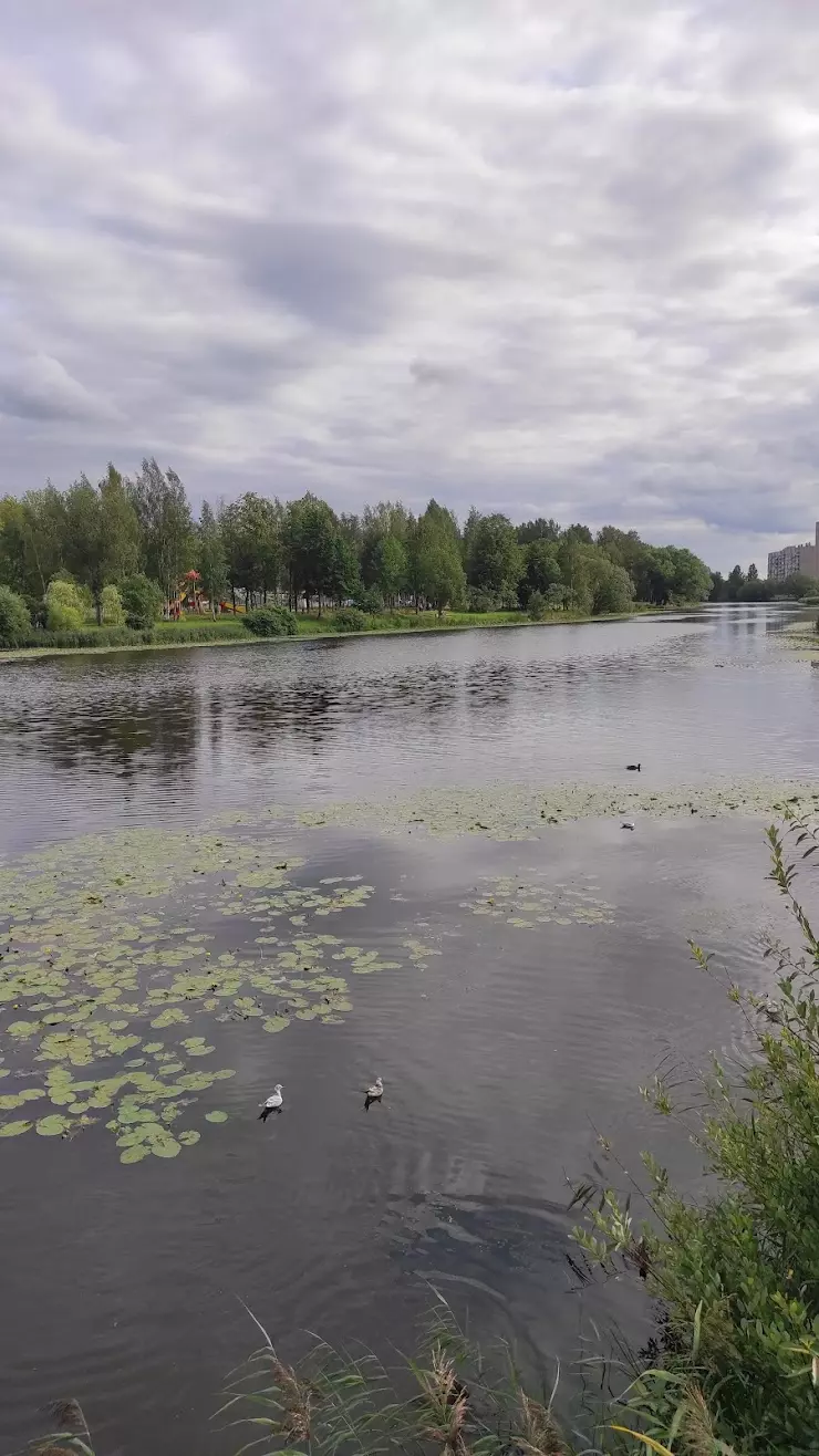 Колпинский Парк им. Дружининского Андрея в Колпино, ул. Адмиралтейская, 50  - фото, отзывы 2024, рейтинг, телефон и адрес