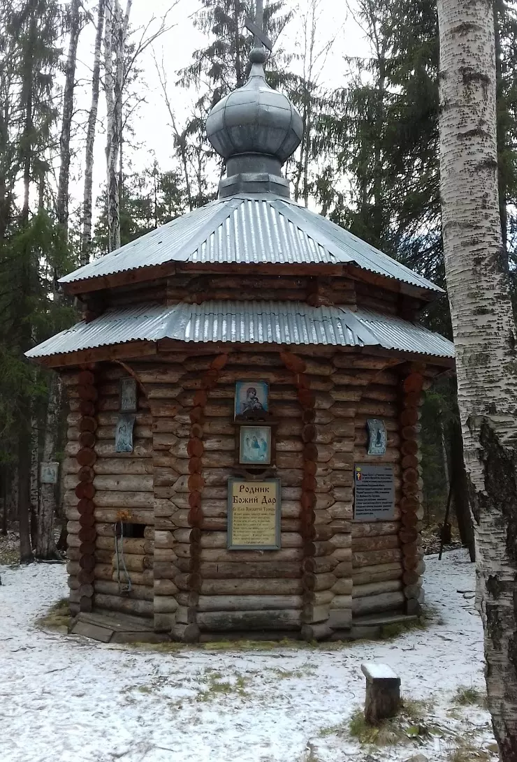 Родник Святой источник в Среднеуральске - фото, отзывы 2024, рейтинг,  телефон и адрес