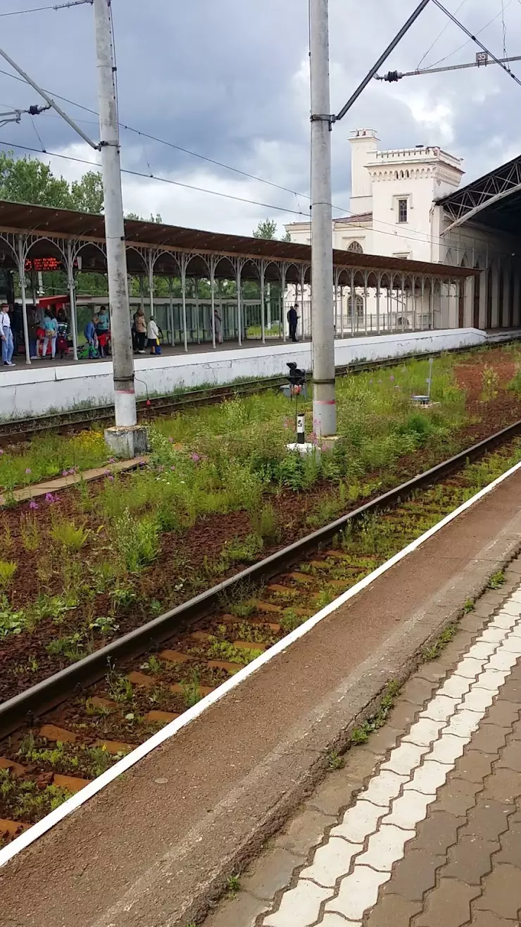 Новый Петергоф в Петергофе, ул. Братьев Горкушенко, 9 - фото, отзывы 2024,  рейтинг, телефон и адрес