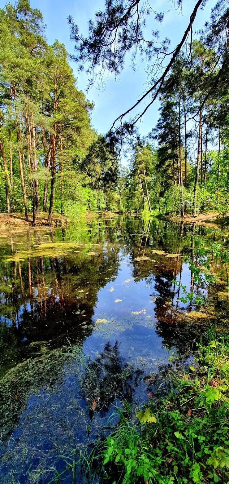 Баранка Пруд в Загорянском, ул. Щербакова, 41 - фото, отзывы 2024, рейтинг,  телефон и адрес