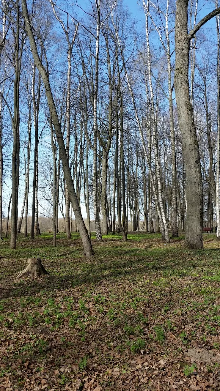 Центральный Парк в Наро-Фоминске, Улица Парк Воровского, 12 - фото, отзывы  2024, рейтинг, телефон и адрес