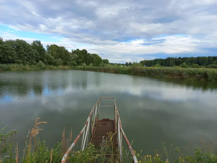 Мероприятия в дмитрове