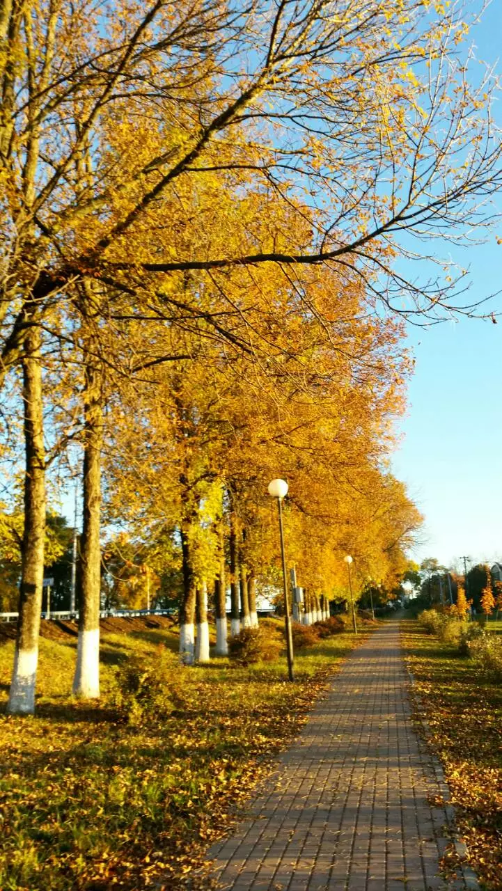 ФОК БЕЛГОРОДСКИЙ ГАУ в Майском - фото, отзывы 2024, рейтинг, телефон и адрес