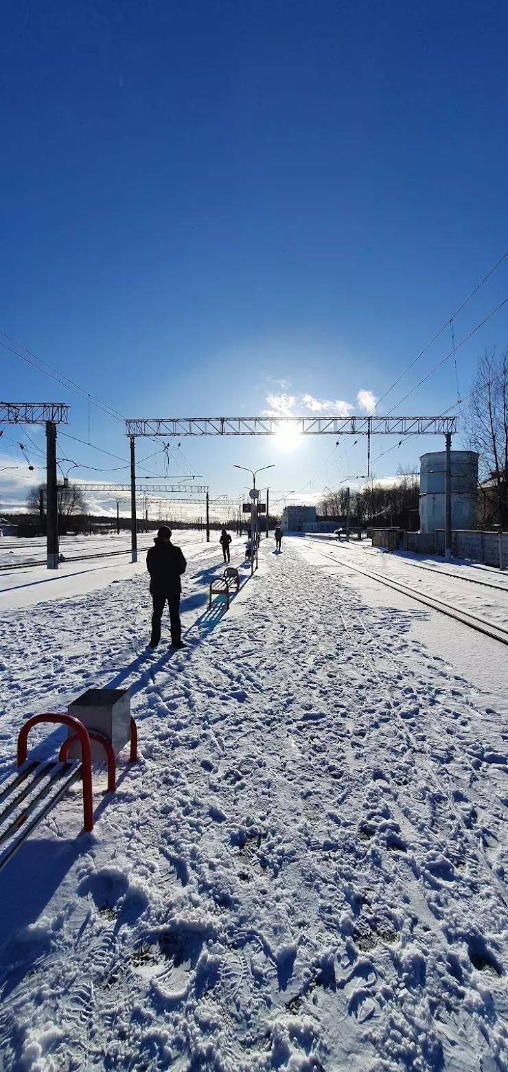 Тучково в Тучково, рп Тучково, ул Привокзальная площадь, д 9 - фото, отзывы  2024, рейтинг, телефон и адрес