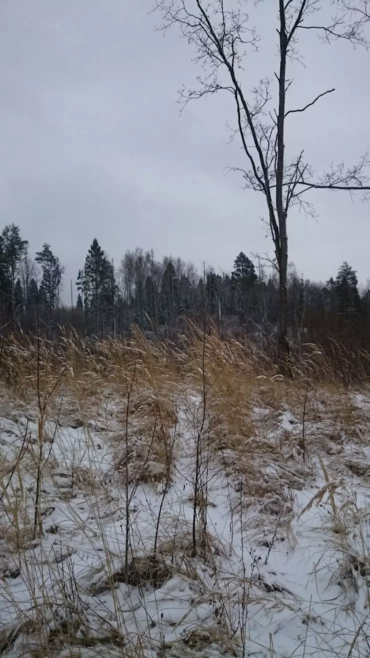 Введенский детский дом в Звенигороде, ул. 9 Мая, 1 - фото, отзывы 2024,  рейтинг, телефон и адрес