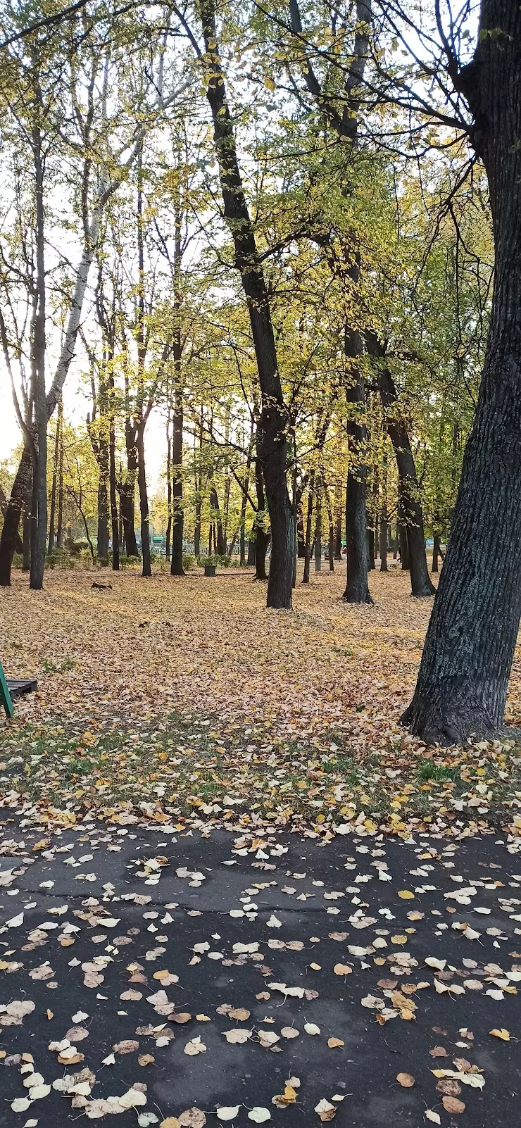 Серпуховский городской отдел ЗАГС в Серпухове, ул. Луначарского, 74 - фото,  отзывы 2024, рейтинг, телефон и адрес