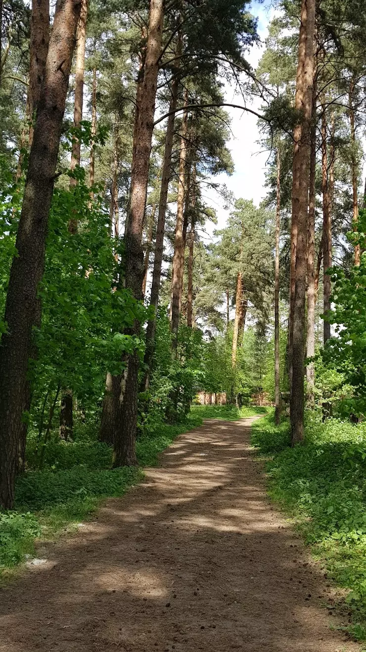 Сосновый бор в Дмитрове, Ковригинское ш. - фото, отзывы 2024, рейтинг,  телефон и адрес