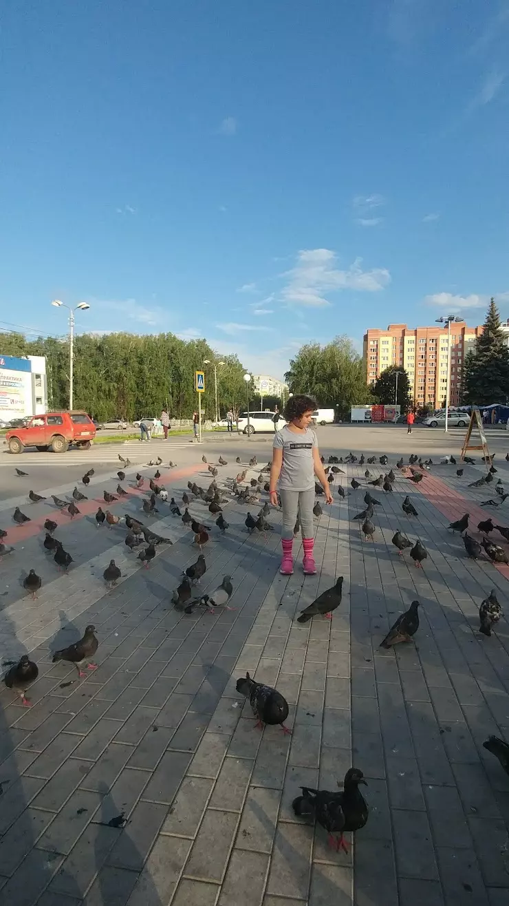 ЗимаЛето в Бердске, Лунная ул., 26 - фото, отзывы 2024, рейтинг, телефон и  адрес