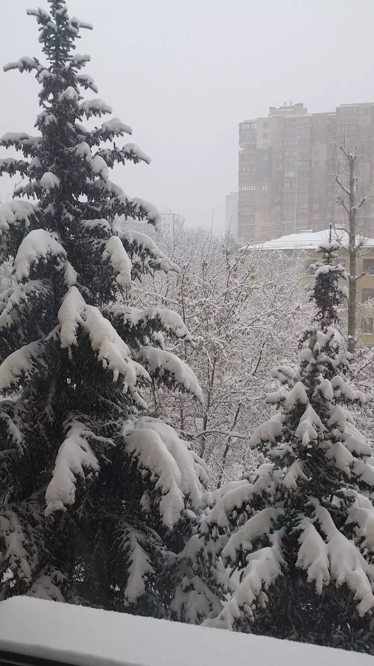 ФГБНУ Научный центр неврологии в Москве, Волоколамское ш., 80 - фото,  отзывы 2024, рейтинг, телефон и адрес