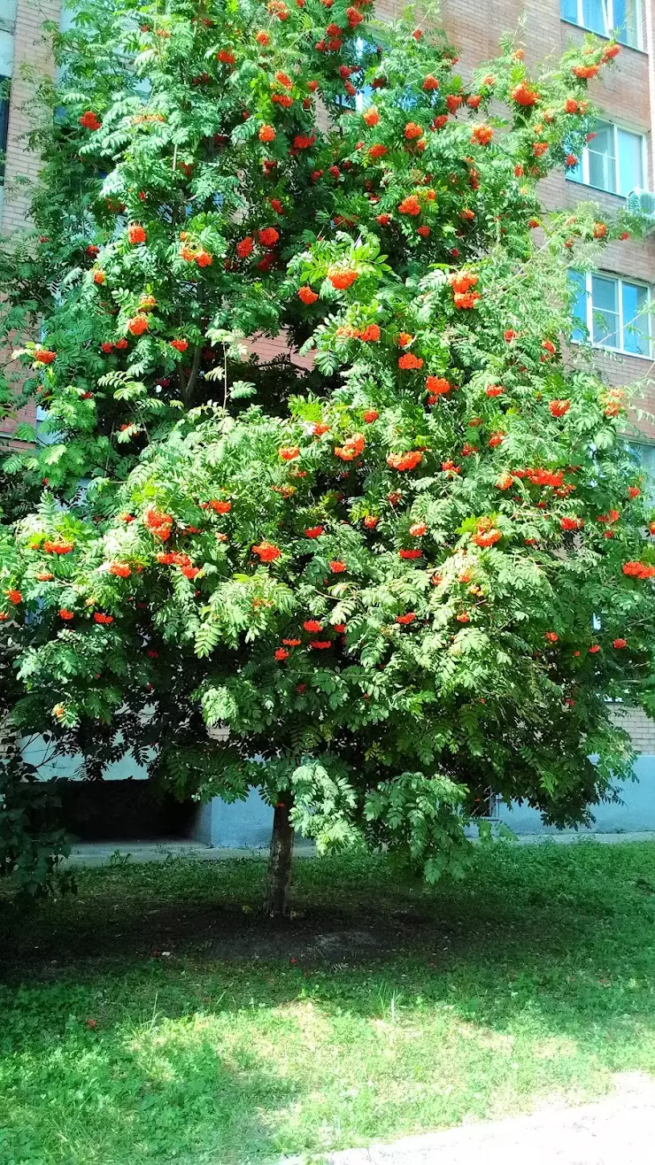 Bon-Bon в Тольятти, ул. Мира, 123-а - фото, отзывы 2024, рейтинг, телефон и  адрес