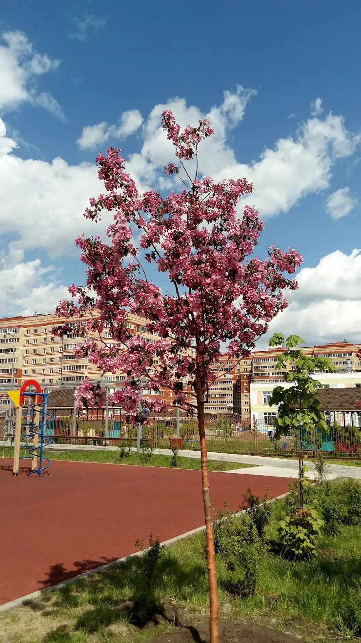 Сквер Яшьлек в Альметьевске, ул. Шевченко, 178 - фото, отзывы 2024,  рейтинг, телефон и адрес