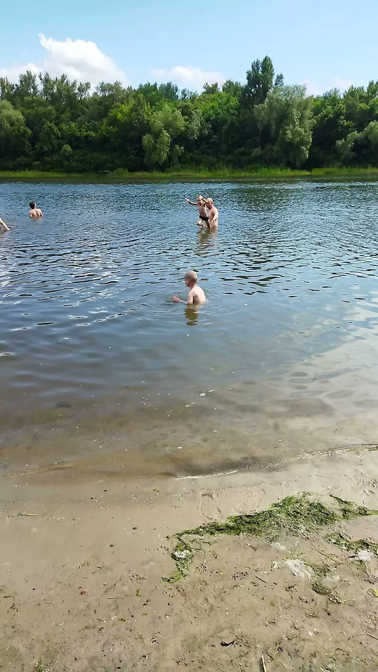 Городской пляж в Кривянской, Мелиховская ул. - фото, отзывы 2024, рейтинг,  телефон и адрес