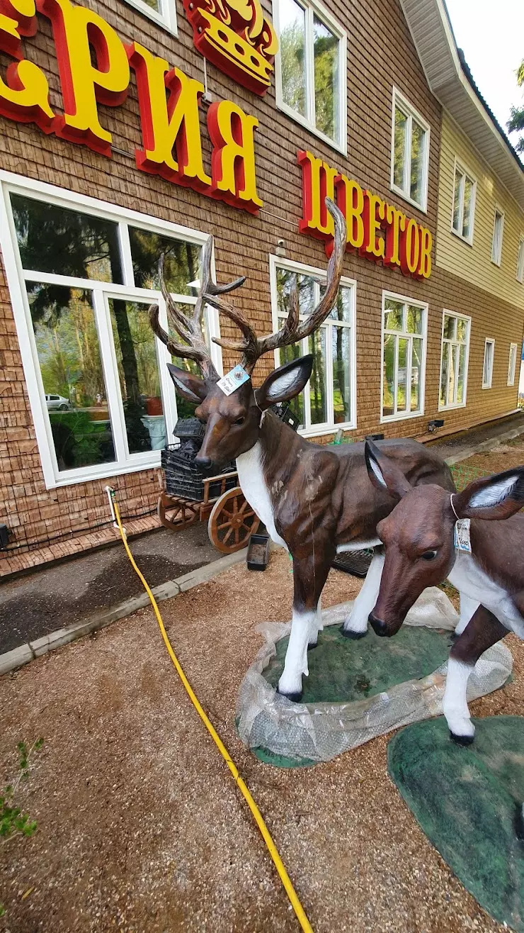 Империя Цветов в Переславль-Залесском, Пригородная ул., 18 - фото, отзывы  2024, рейтинг, телефон и адрес