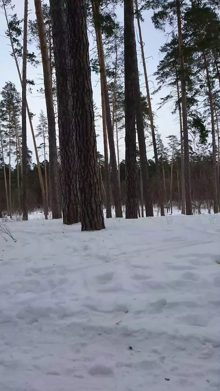 Хоккей-Профи в Тольятти, ул. Маршала Жукова, 16 - фото, отзывы 2024,  рейтинг, телефон и адрес