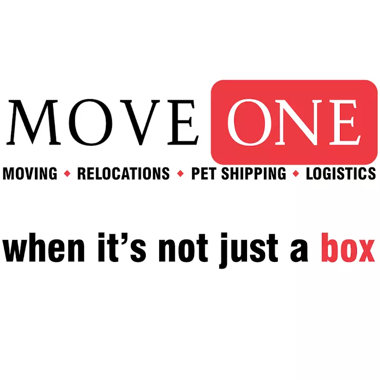 Moving 1. One move интернет магазин. One move,кто производитель. One Logistics School.