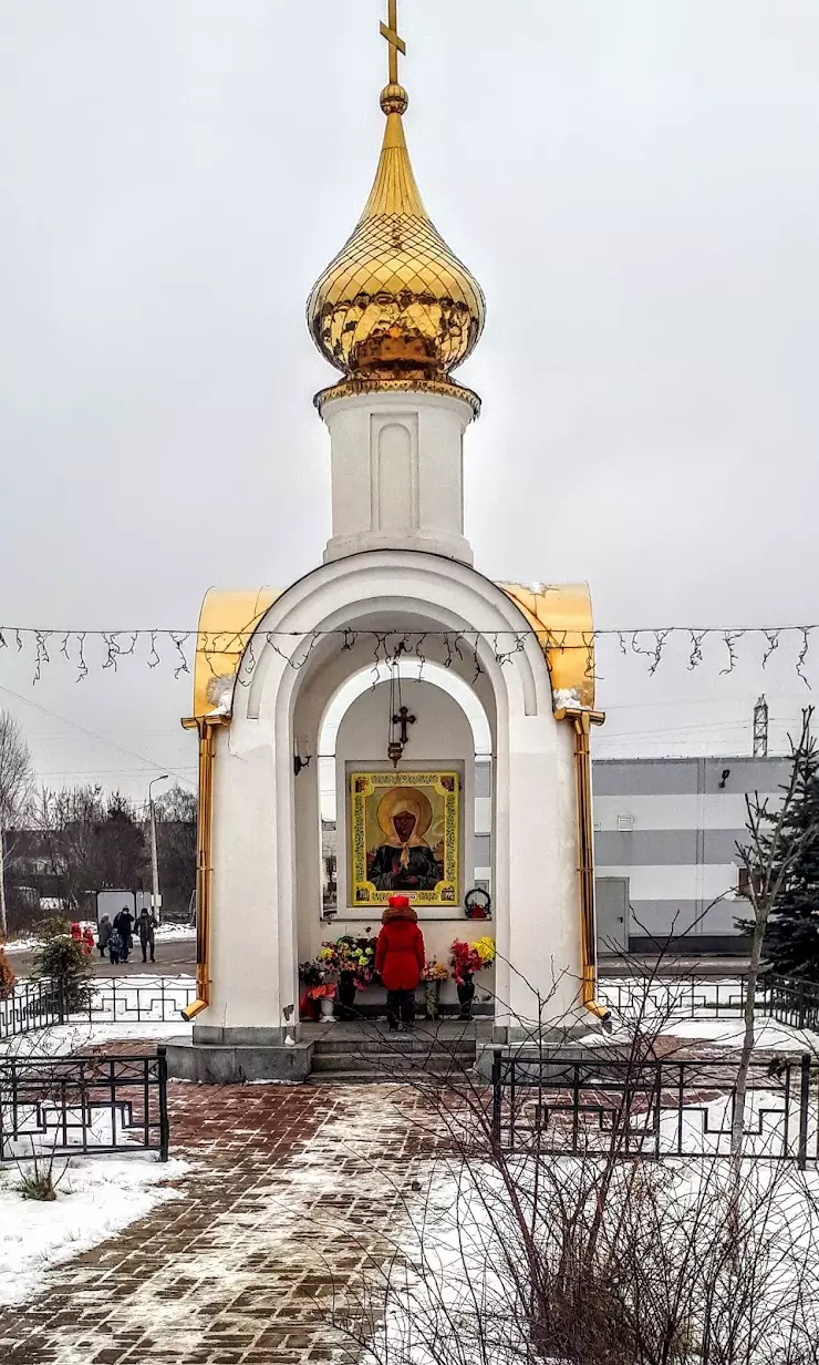 МБУ ФОК «Лидер» в Электрогорске, ул. Горького, 5/1 - фото, отзывы 2024,  рейтинг, телефон и адрес