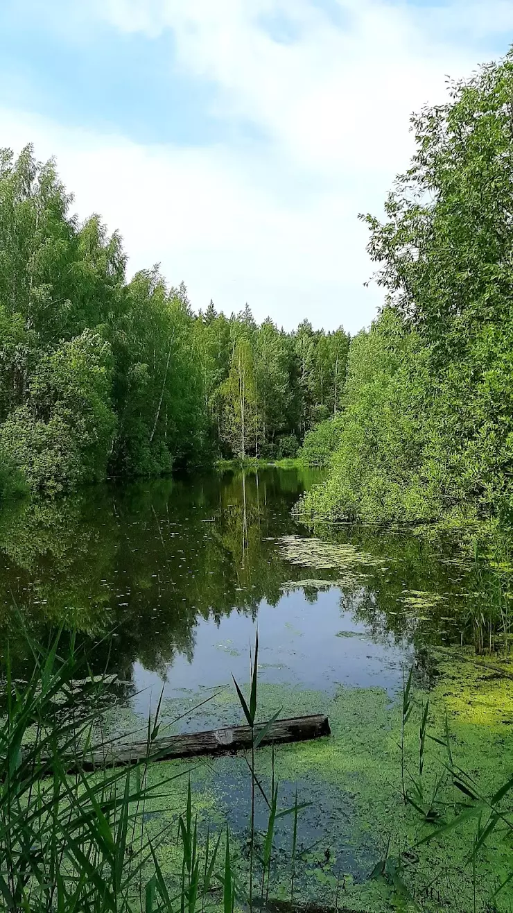 Яковлевский бор в Ярославле - фото, отзывы 2024, рейтинг, телефон и адрес