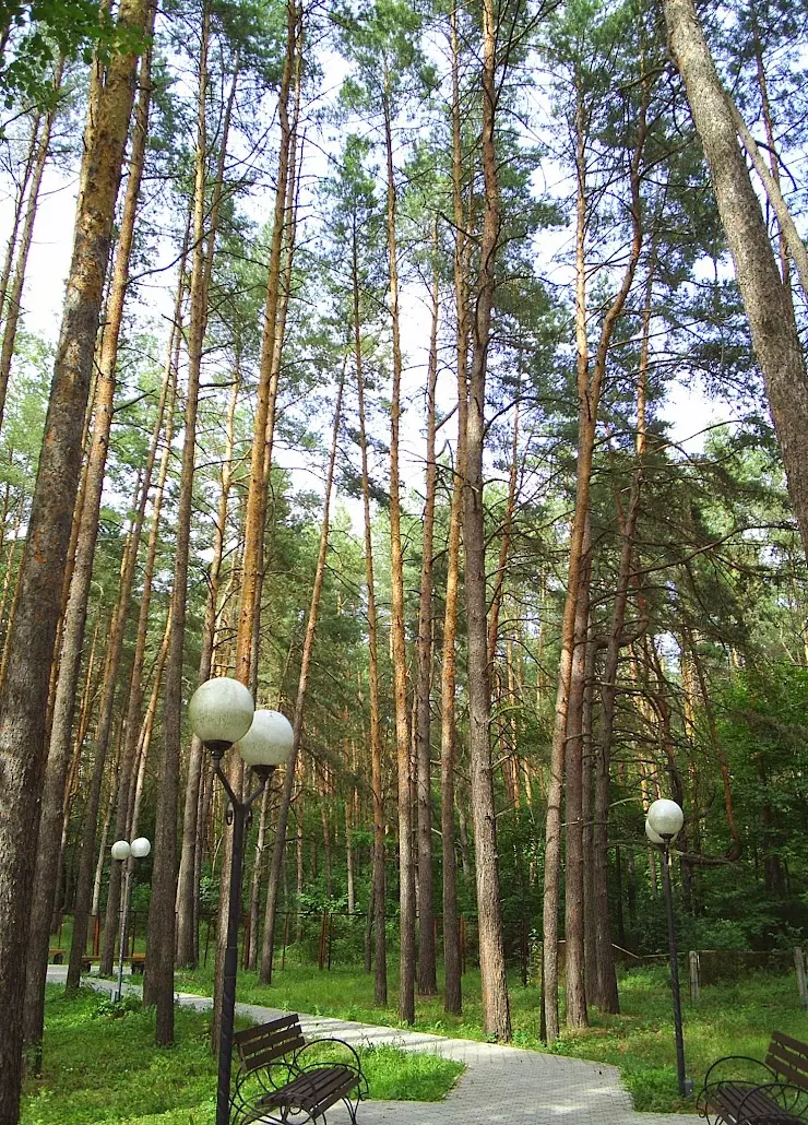 Курск санаторий телефон. Санаторий Маяк Курск. Парк солянка 7 Курск санаторий. Санаторий Маяк Салават. Санаторий профилакторий по Маяк в Озерске.