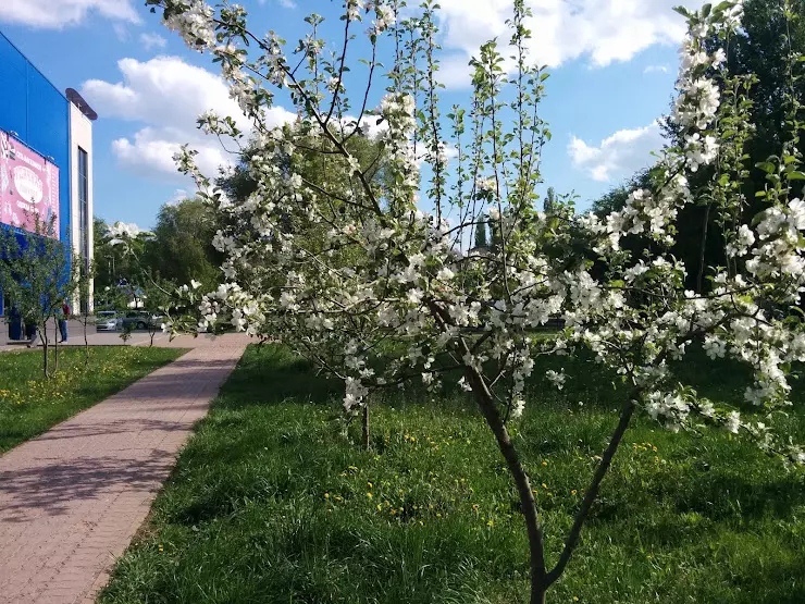 Индекс г старый оскол