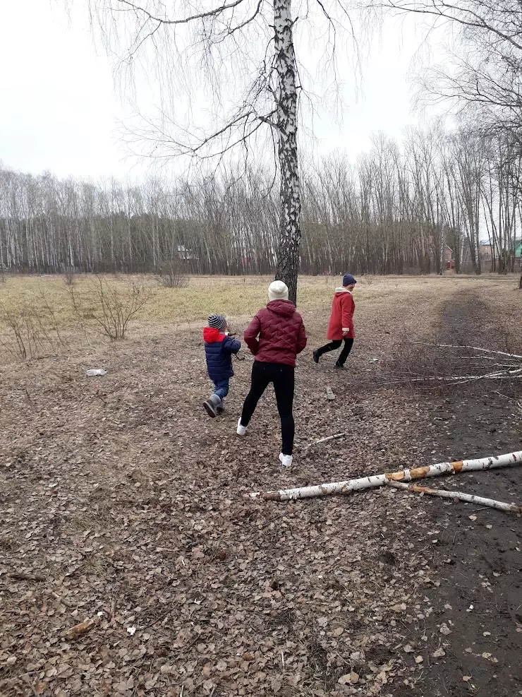 Сквер семейный пенза. Сквер культуры и досуга семейный, Пенза. Парк отдыха семейный Пенза. Сквер семейный Пенза площадка.