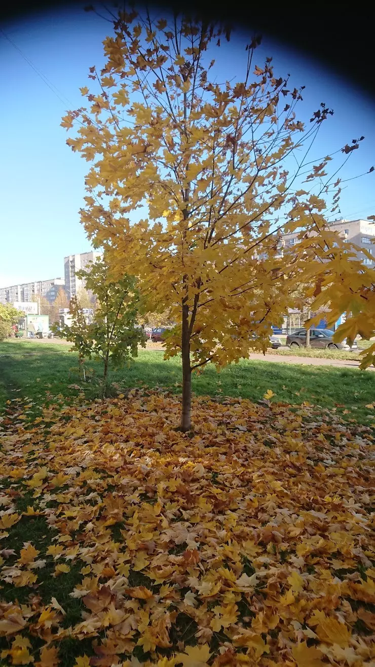 НОРФОТО в Великом Новгороде, пр. Мира, д.30 к1 - фото, отзывы 2024,  рейтинг, телефон и адрес