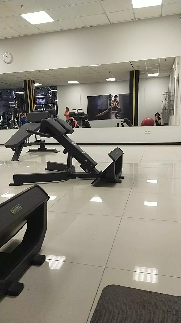 Record Fitness в Великом Новгороде, Большая Санкт-Петербургская ул., 25 -  фото, отзывы 2024, рейтинг, телефон и адрес