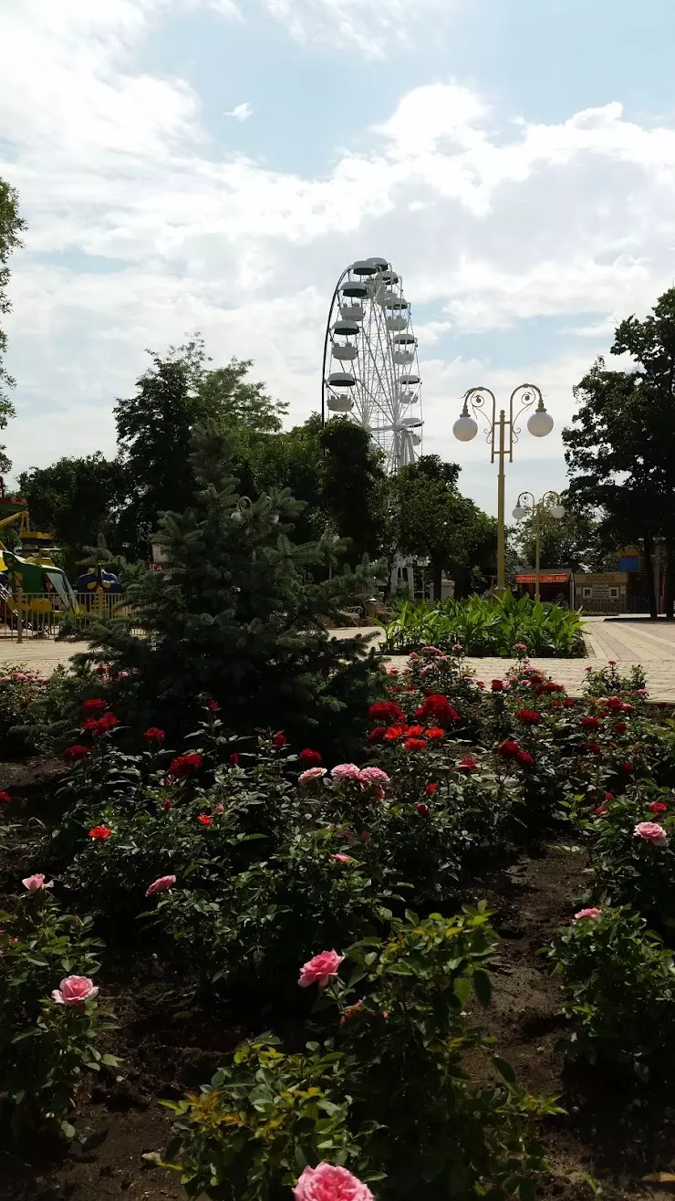 Центральный Городской Парк МП г. Армавира в Армавире, ул. Ленина, 88 -  фото, отзывы 2024, рейтинг, телефон и адрес