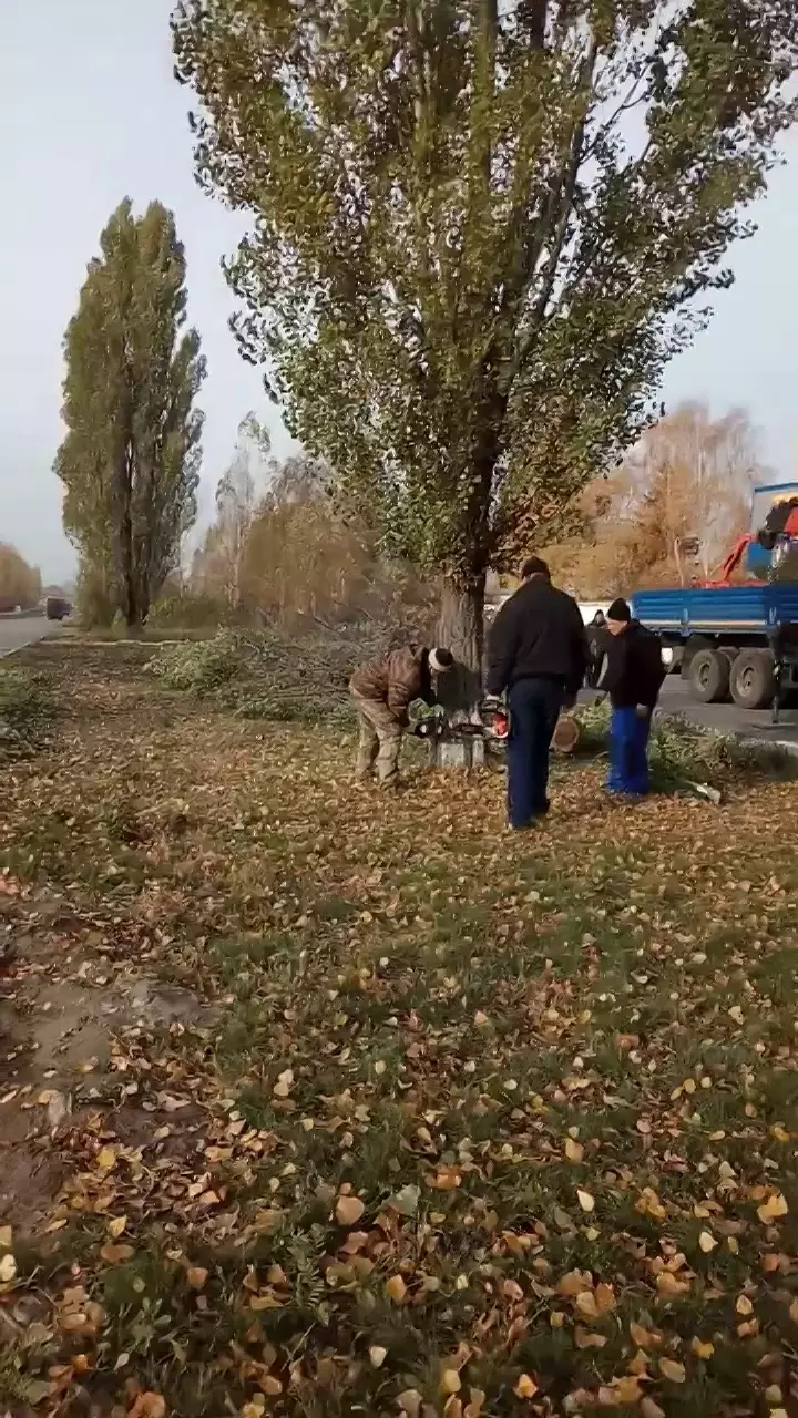 Теплохиммонтаж в Старом Осколе, ст. Котел, площадка Монтажная, проезд Ш-6,  строение 3 - фото, отзывы 2024, рейтинг, телефон и адрес