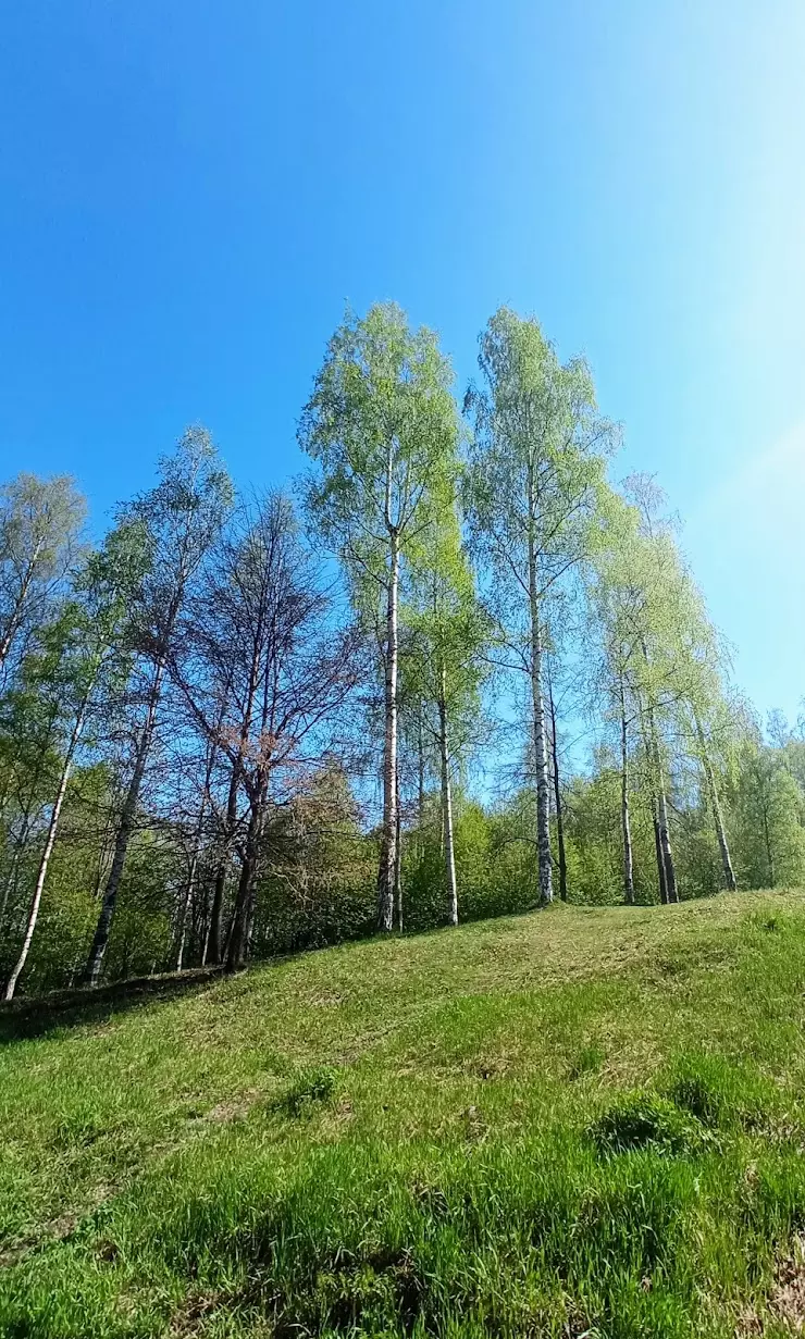 Лососинский Парк в Петрозаводске, наб. Ла-Рошель, 13 - фото, отзывы 2024,  рейтинг, телефон и адрес